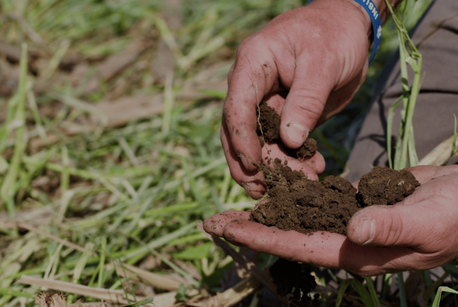 Soil Calibration Guide Sensoterra Wireless Soil Moisture Sensors