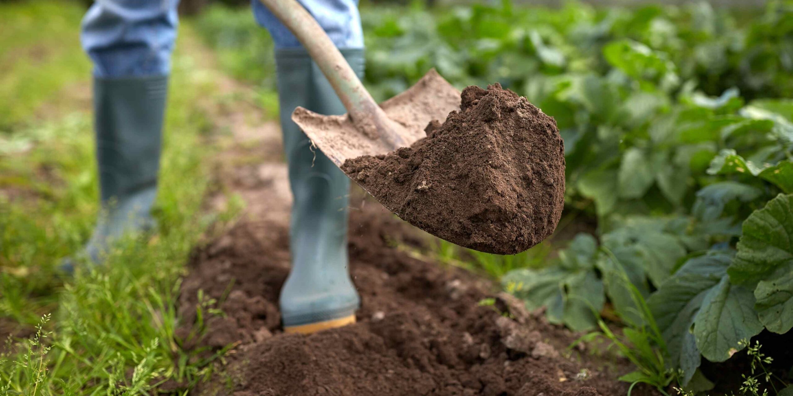 Three Steps for Digging into Soil Moisture Data