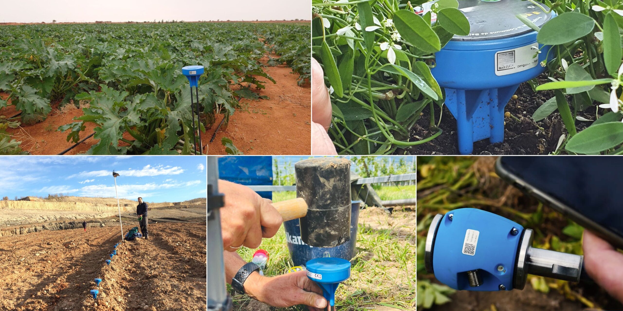 2024 World Soil Day Sensoterra wireless soil moisture sensors